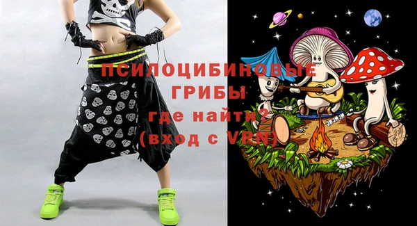 эйфоретик Белокуриха