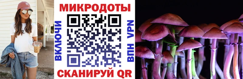 Галлюциногенные грибы MAGIC MUSHROOMS  закладка  Реутов 